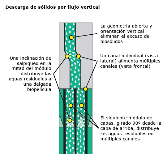 Descarga de Solidos por flujo Vertical